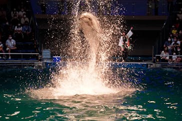 マクセル アクアパーク品川に投稿された画像（2021/8/15）