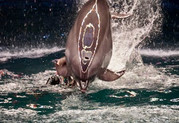 マクセル アクアパーク品川に投稿された画像（2021/8/15）