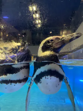 すみだ水族館に投稿された画像（2021/8/15）