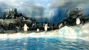 名古屋港水族館に投稿された画像（2021/8/15）