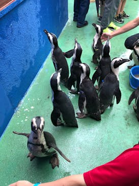 ゼロ距離水族館 伊勢シーパラダイスに投稿された画像（2021/8/15）