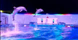 仙台うみの杜水族館に投稿された画像（2021/8/16）