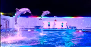 仙台うみの杜水族館に投稿された画像（2021/8/15）