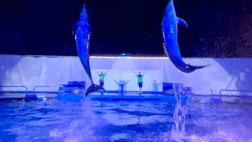 仙台うみの杜水族館に投稿された画像（2021/8/15）