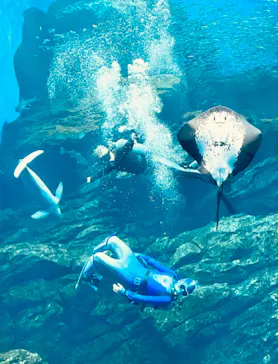 仙台うみの杜水族館に投稿された画像（2021/8/15）