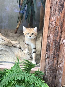 神戸どうぶつ王国に投稿された画像（2021/8/16）