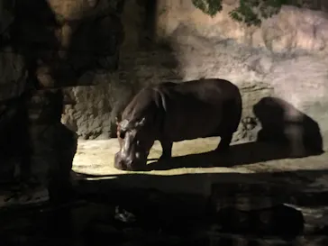 天王寺動物園に投稿された画像（2021/8/16）