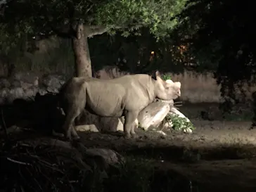 天王寺動物園に投稿された画像（2021/8/16）