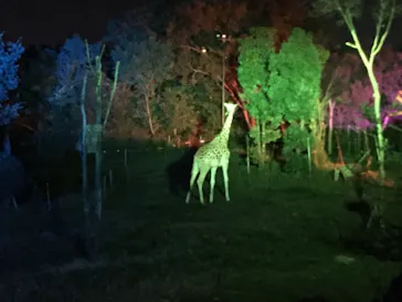 天王寺動物園に投稿された画像（2021/8/16）