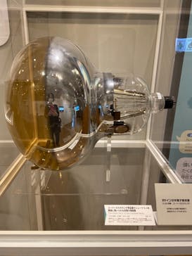 国立科学博物館に投稿された画像（2021/8/16）