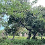 天王寺動物園に投稿された画像（2021/8/16）