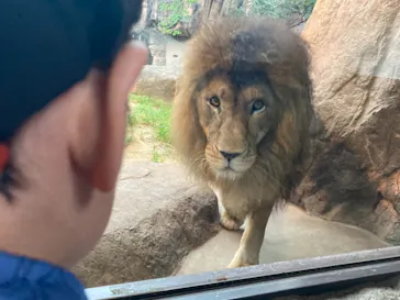 天王寺動物園に投稿された画像（2021/8/16）