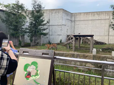 天王寺動物園に投稿された画像（2021/8/16）