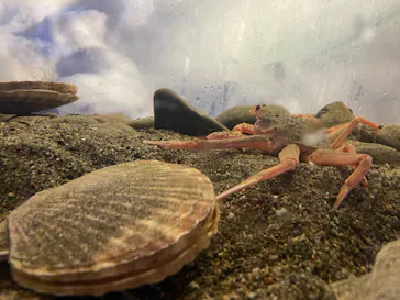 横浜・八景島シーパラダイスに投稿された画像（2021/8/16）