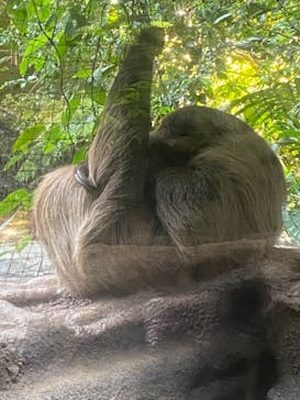 カワスイ 川崎⽔族館に投稿された画像（2021/8/16）