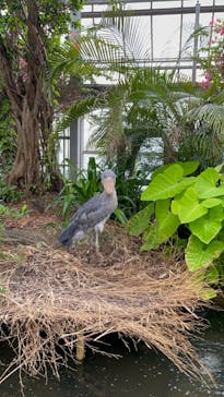 神戸どうぶつ王国に投稿された画像（2021/8/16）