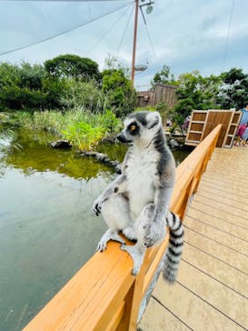 神戸どうぶつ王国に投稿された画像（2021/8/16）