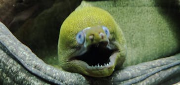 株式会社Gに投稿された画像（2021/8/16）