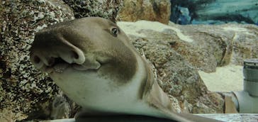 株式会社Gに投稿された画像（2021/8/16）