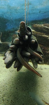 株式会社Gに投稿された画像（2021/8/16）