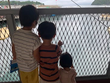 伊豆・三津シーパラダイスに投稿された画像（2021/8/16）