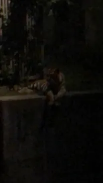 天王寺動物園に投稿された画像（2021/8/16）