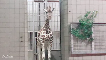 天王寺動物園に投稿された画像（2021/8/16）