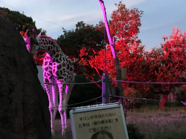 天王寺動物園に投稿された画像（2021/8/16）