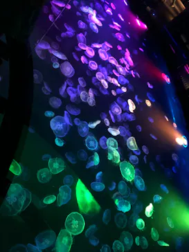 すみだ水族館に投稿された画像（2021/8/16）