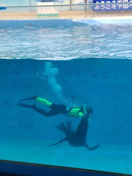 下田海中水族館に投稿された画像（2021/8/16）