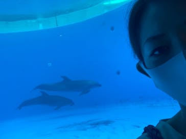 九十九島水族館海きららに投稿された画像（2021/8/16）