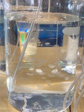 九十九島水族館海きららに投稿された画像（2021/8/16）