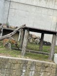天王寺動物園に投稿された画像（2021/8/16）