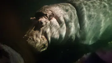 天王寺動物園に投稿された画像（2021/8/16）