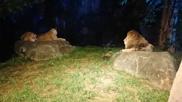 天王寺動物園に投稿された画像（2021/8/16）