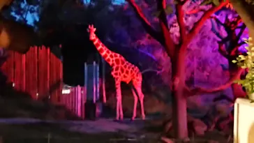 天王寺動物園に投稿された画像（2021/8/16）