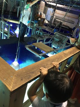 サンシャイン水族館に投稿された画像（2021/8/16）