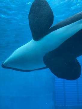 名古屋港水族館に投稿された画像（2021/8/16）