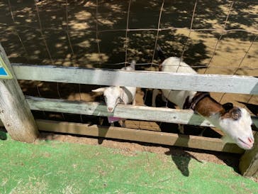 成田ゆめ牧場に投稿された画像（2021/8/16）