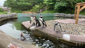 那須どうぶつ王国に投稿された画像（2021/8/16）