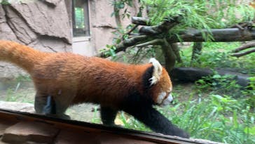 那須どうぶつ王国に投稿された画像（2021/8/16）