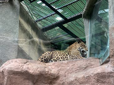 那須どうぶつ王国に投稿された画像（2021/8/16）