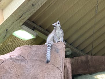 那須どうぶつ王国に投稿された画像（2021/8/16）