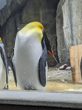 仙台うみの杜水族館に投稿された画像（2021/8/16）