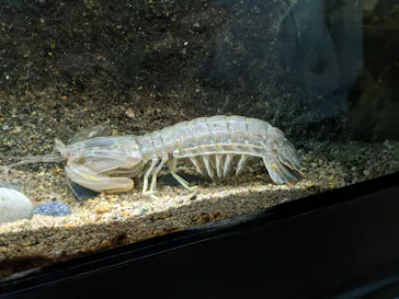 仙台うみの杜水族館に投稿された画像（2021/8/16）