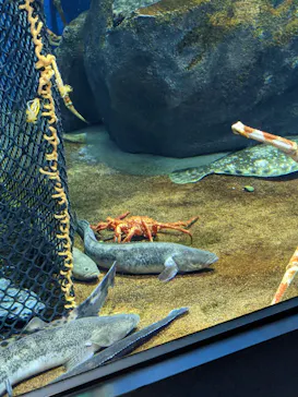 仙台うみの杜水族館に投稿された画像（2021/8/16）