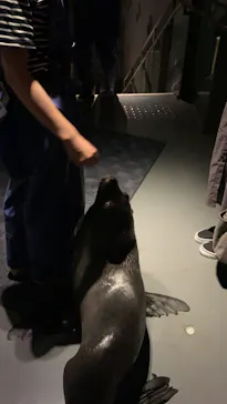 すみだ水族館に投稿された画像（2021/8/16）