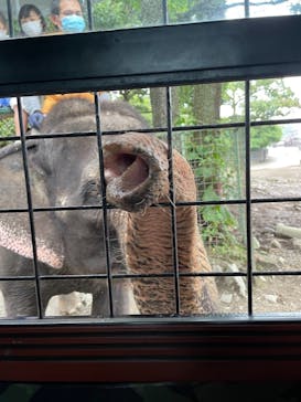 那須サファリパークに投稿された画像（2021/8/16）