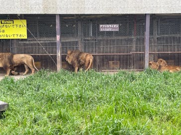 那須サファリパークに投稿された画像（2021/8/16）