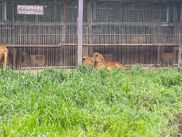 那須サファリパークに投稿された画像（2021/8/16）